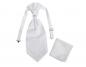 Preview: Plastron (Krawatte) mit Einstecktuch