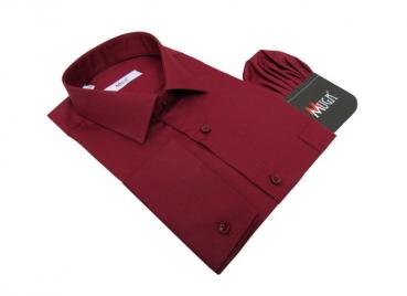 Regular Fit Herren Hemd mit Einstecktuch