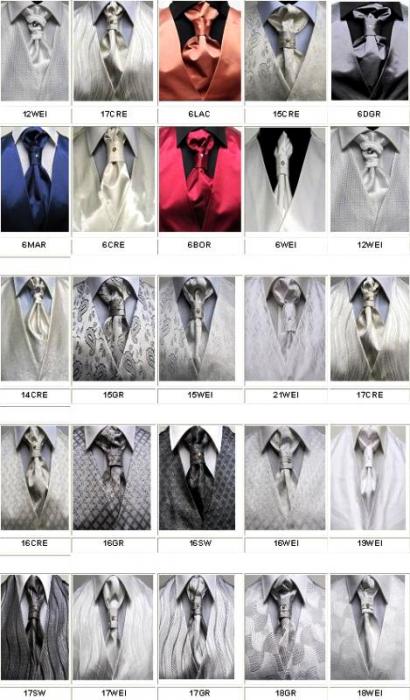 Plastron (Krawatte) mit Einstecktuch