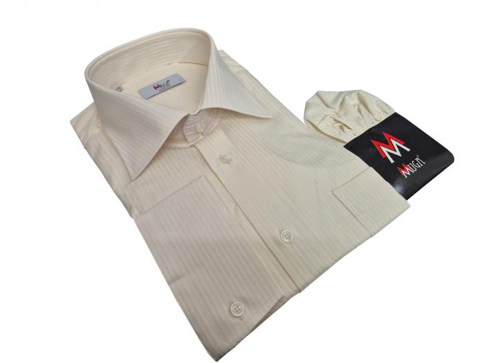 Extra langer Arm Herren Hemd Schattenstreifen Regular