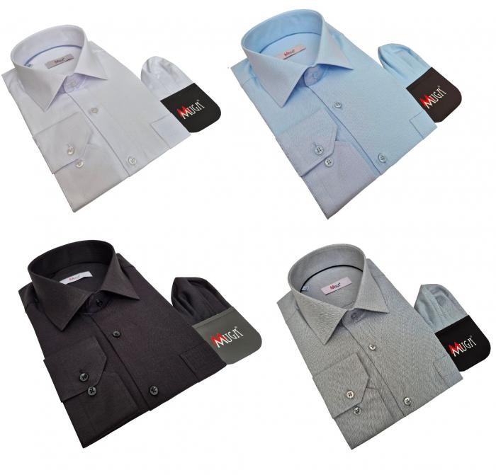 Fischgratmuster Lang Arm Herren Hemd Regular